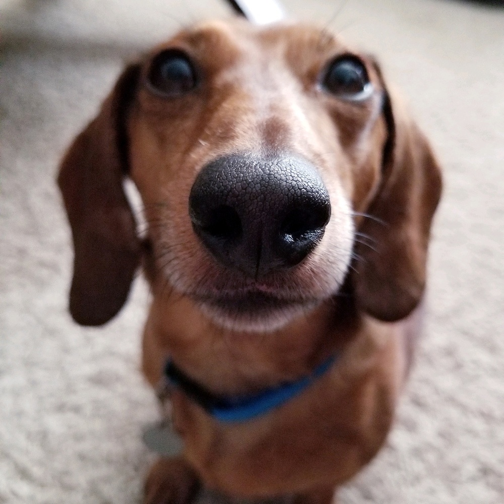 Meet your Posher, Lori